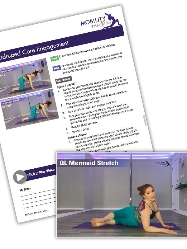 Mobility Matters: Core Stability product image (1)