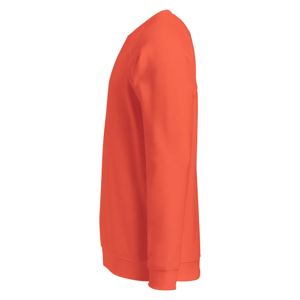 CF Unisex Organic Raglan Sweatshirt product image (3)
