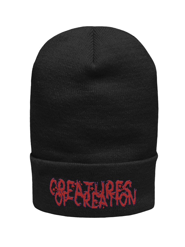 ANIME BEANIE product image (1)