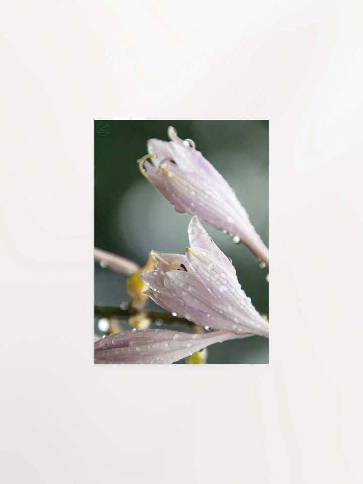 Morning Dew Print product image (2)