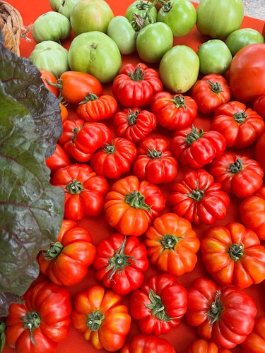 @rareloomgarden stopped me in my tracks at the #farmersmarket today with these Costoluto Fiorentino tomatoes, Italian heirloo...