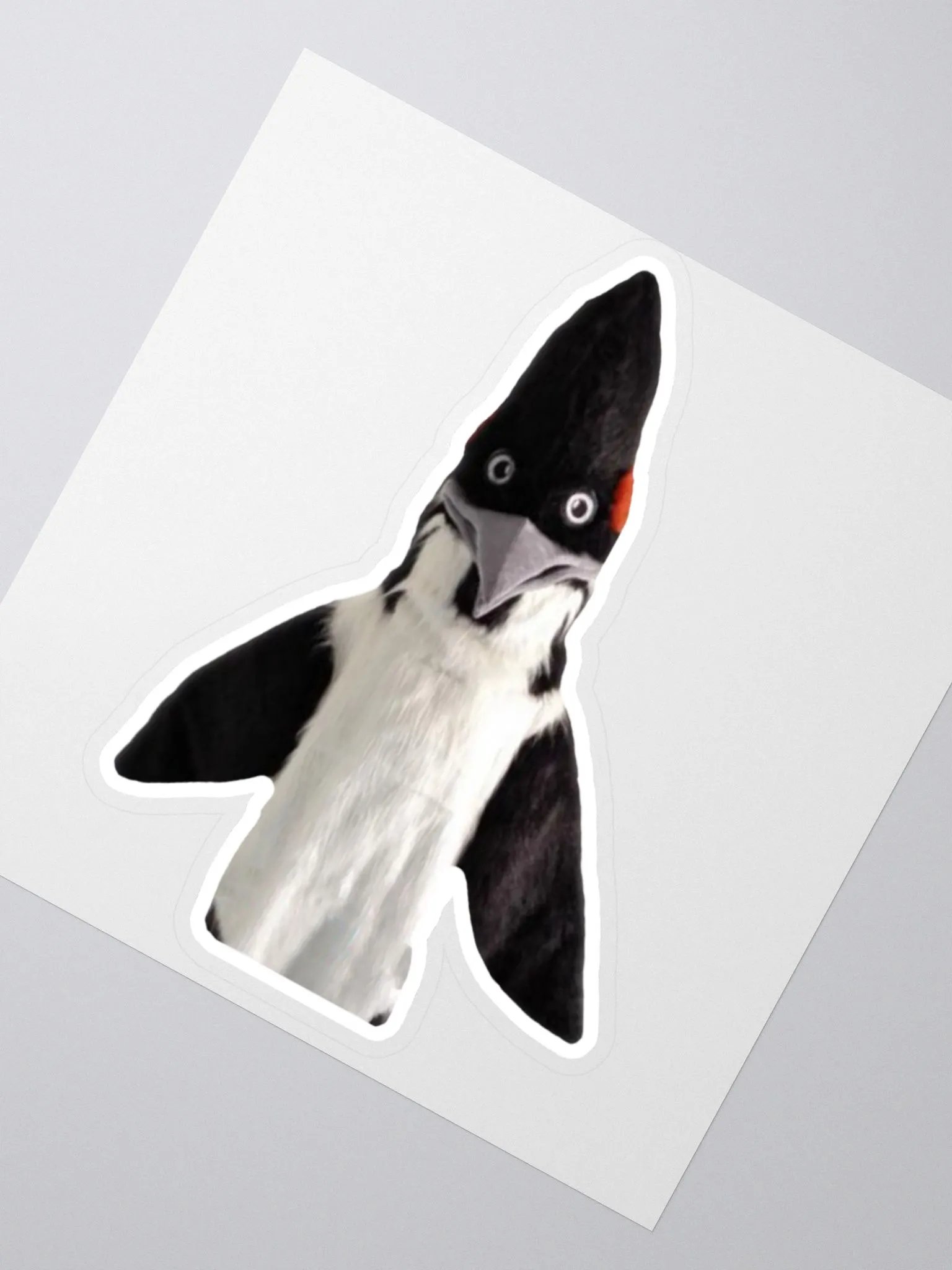 BIRD Sticker product image (1)