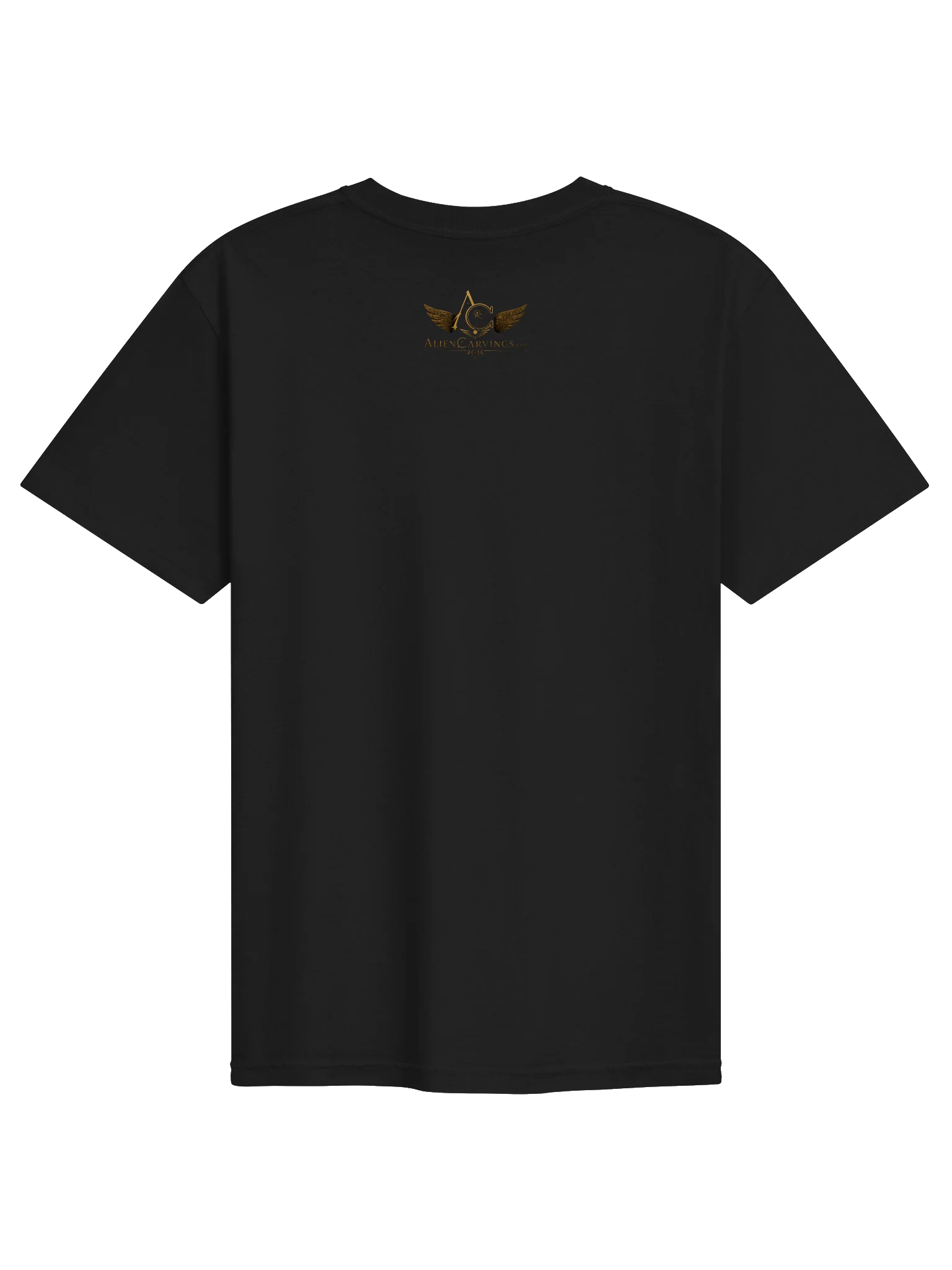 Back 2 Back Premium T-Shirt product image (2)