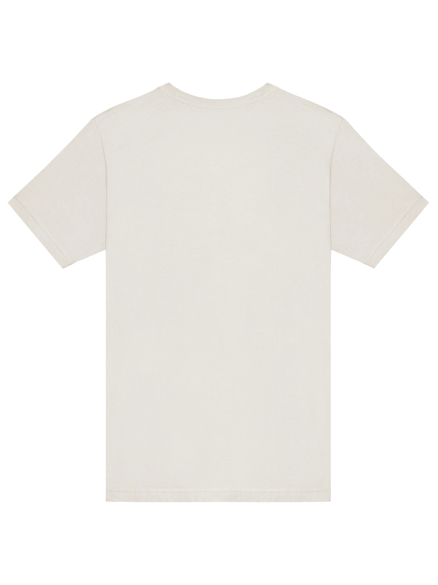 No Mistakes T-Shirt product image (21)