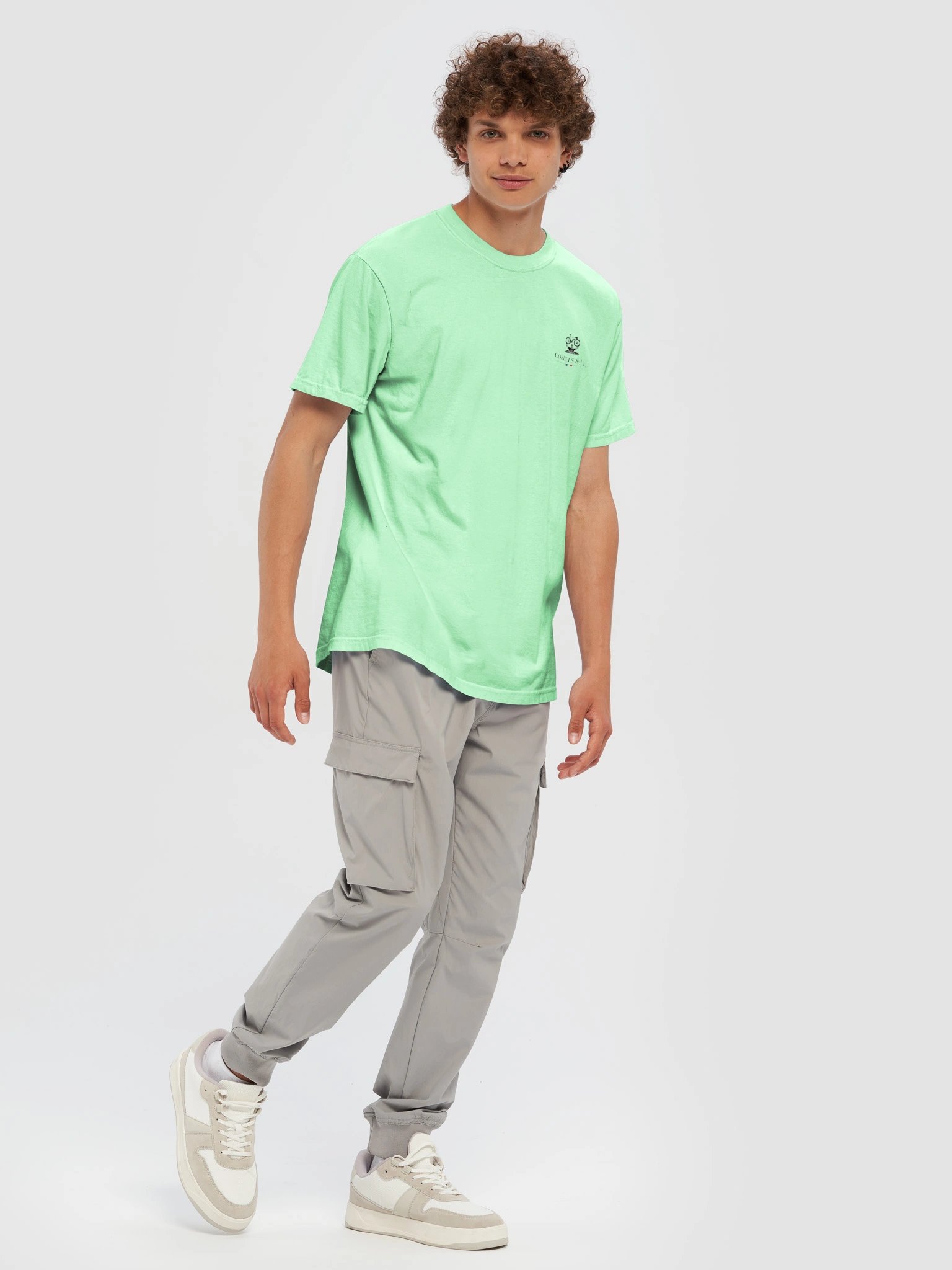 Flandriennes Island Reef product image (12)