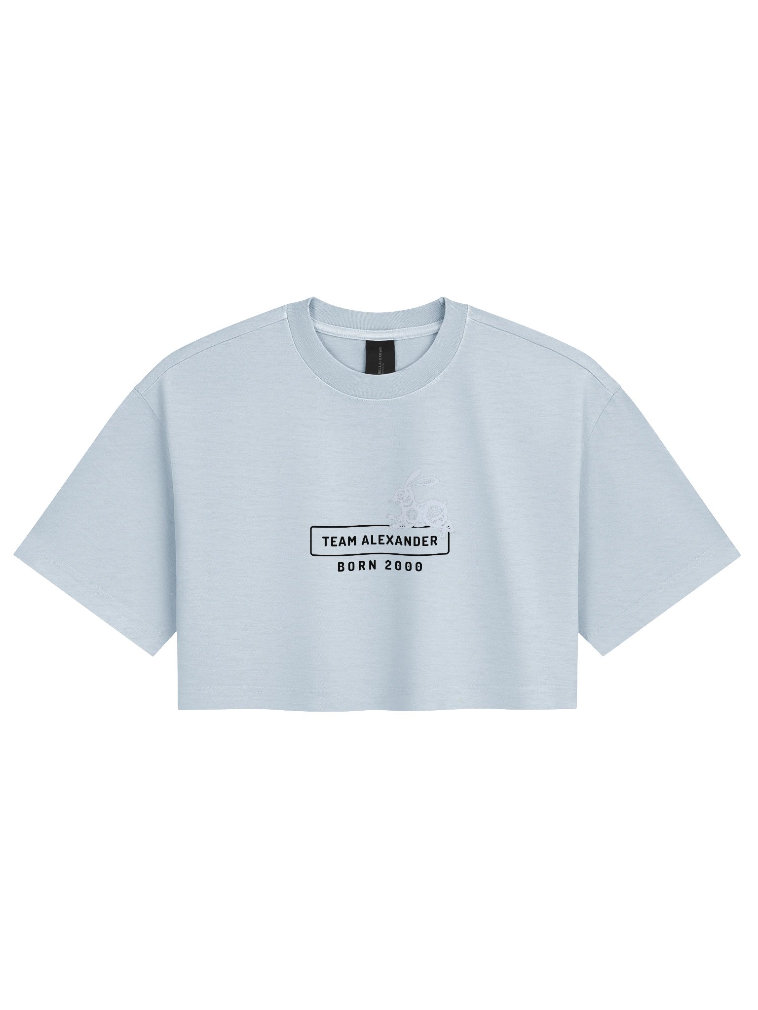 Limited Capsule: 2000's Crop product image (1)