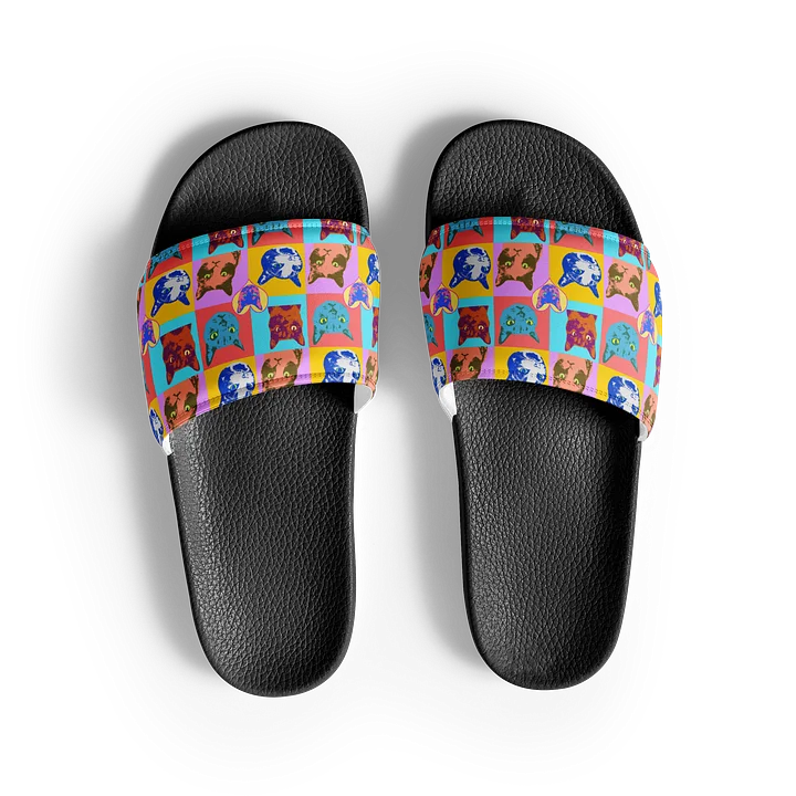 Kitty Cats Slide Ons product image (1)