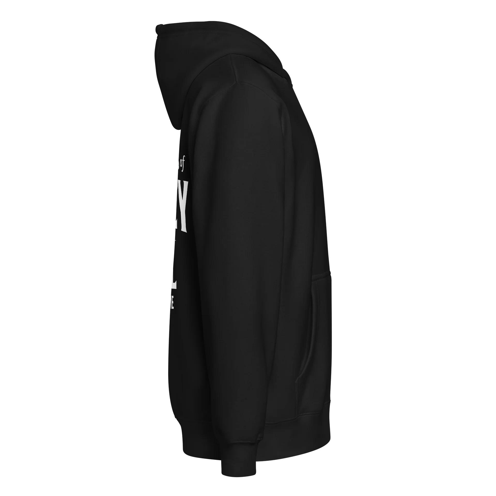 WHISKEY IS TO BLAME - PREMIUM ZipUp Hoodie product image (16)