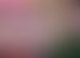YT Reaction's tag thumbnail