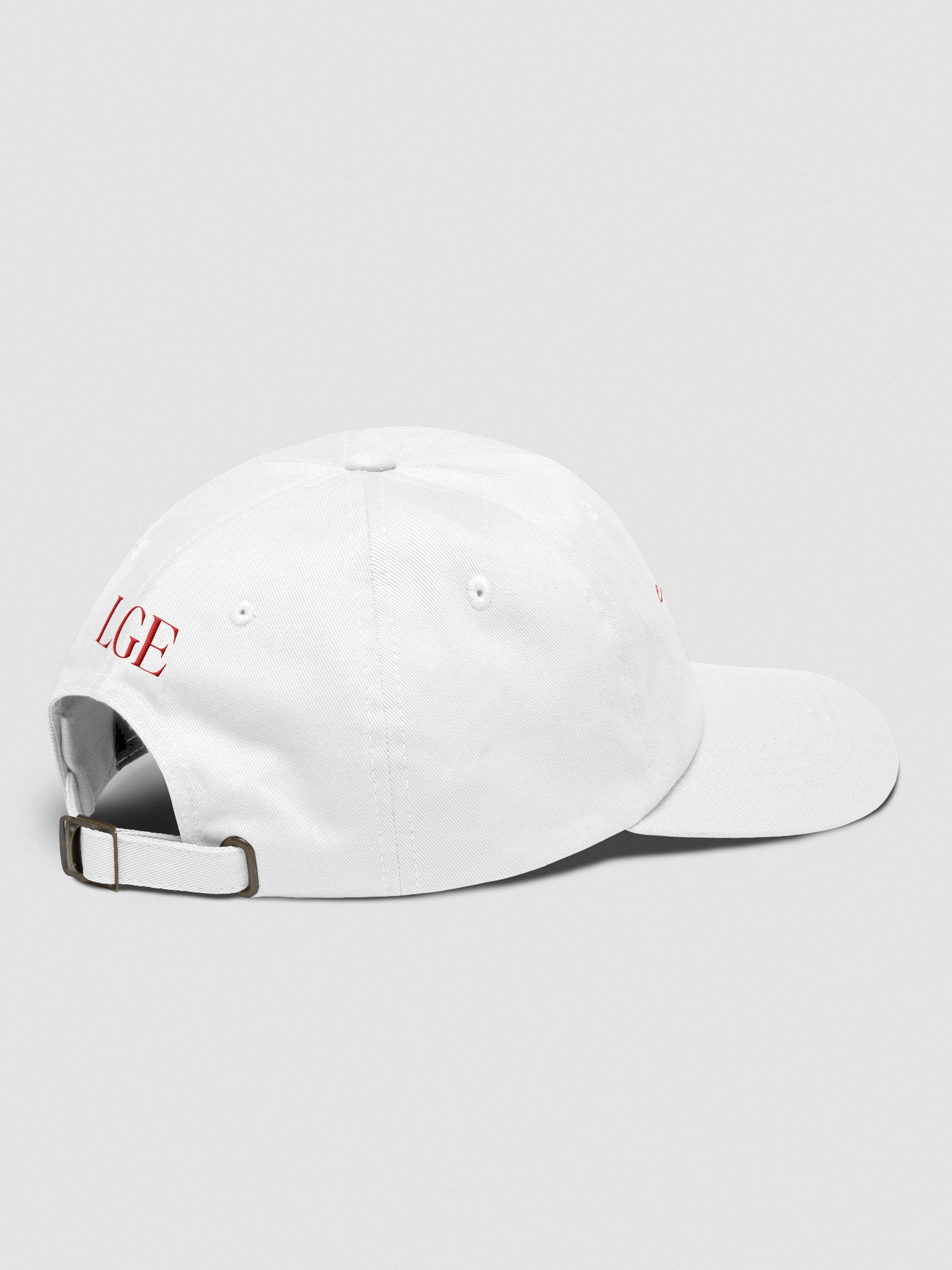 evolving hat white product image (4)