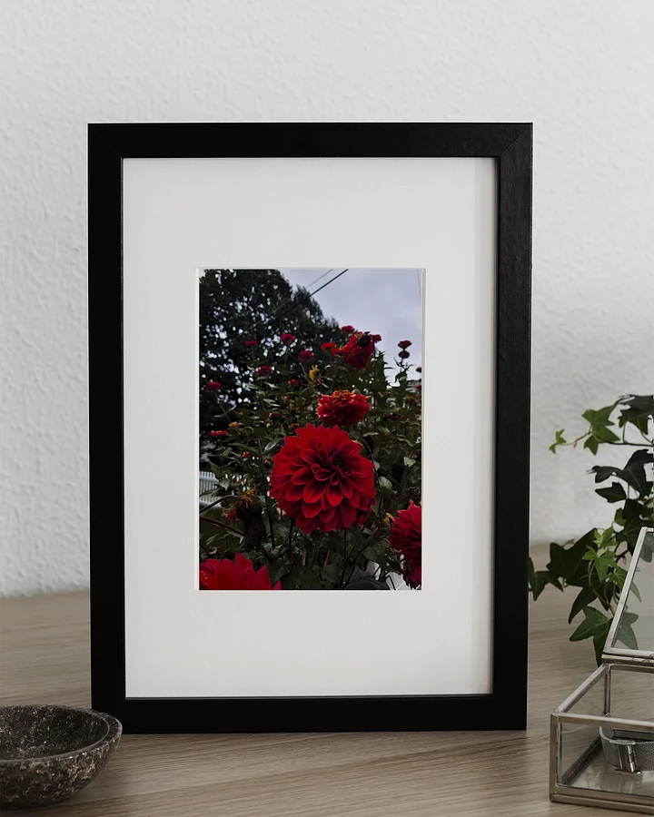 Autumn Dahlias Matte Print product image (2)