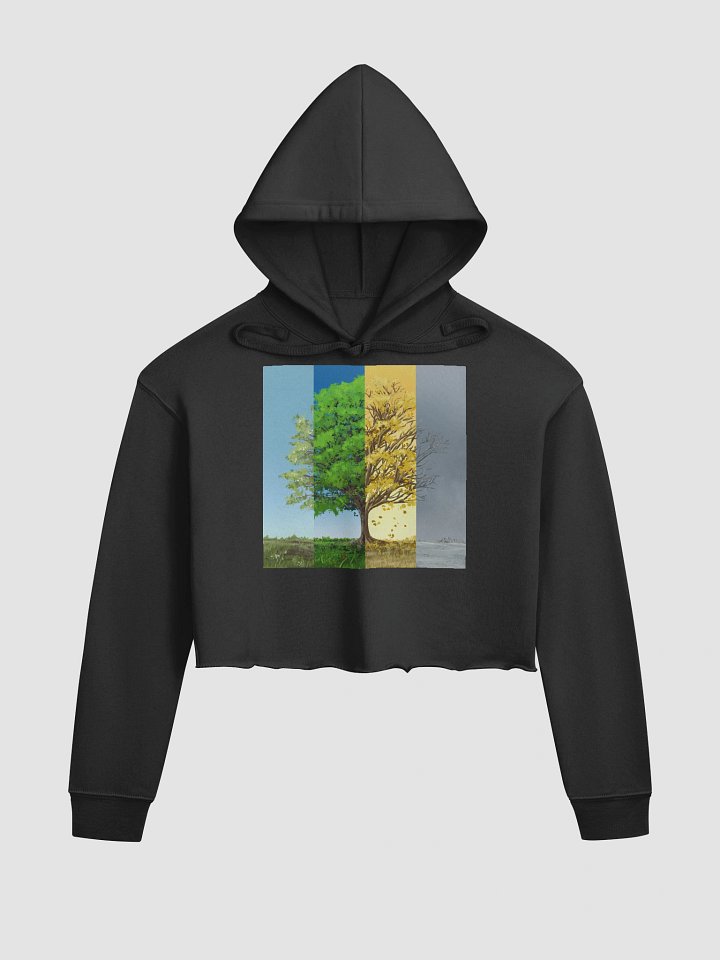 Equinox & Solstice Crop Hoodie product image (2)