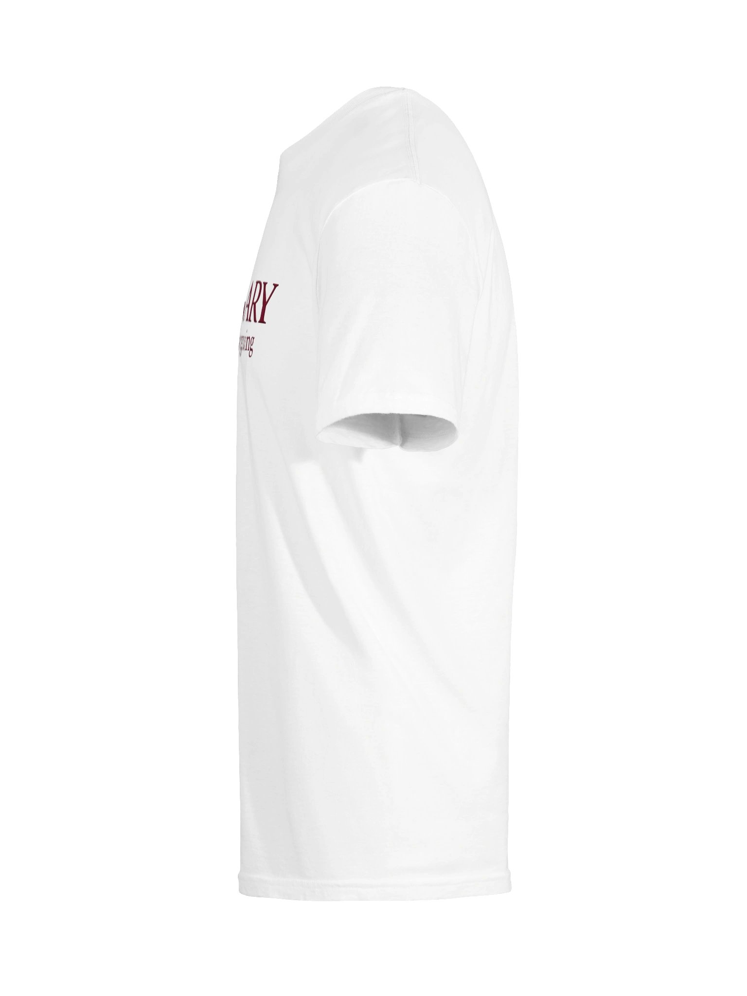 Argument Tee product image (109)