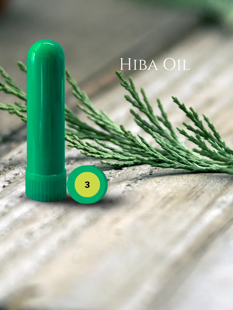 Olfaria Pine Odor Training Kit | 5 Single-Note Essential Oils | Scent Education | Train Your Nose product image (4)