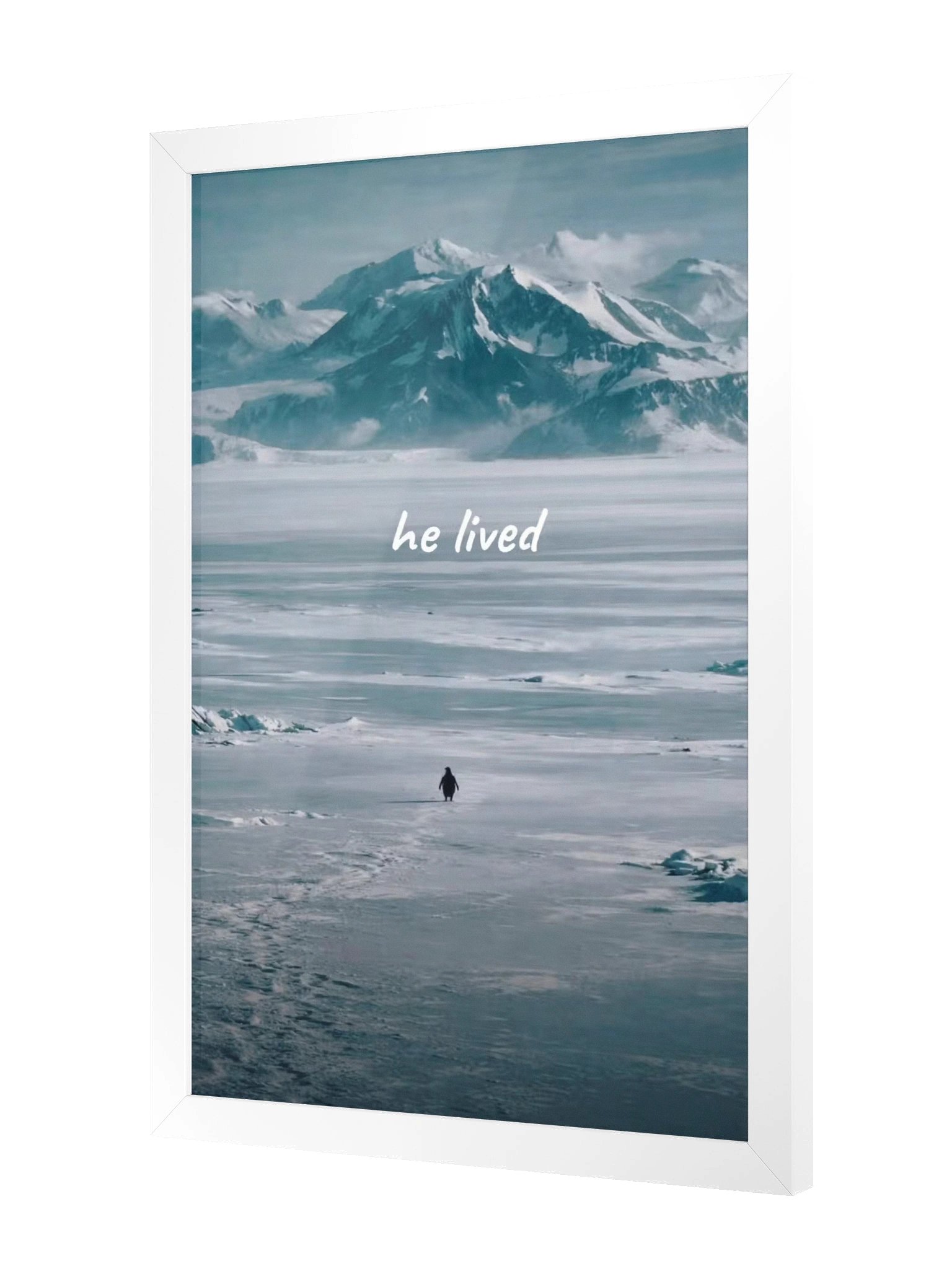 he lived- penguin product image (4)