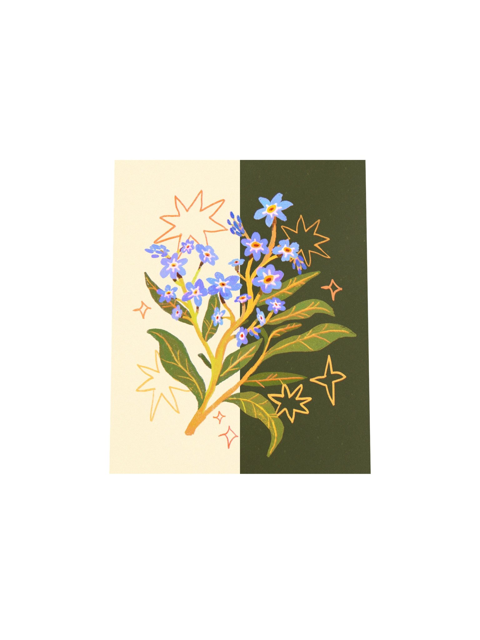 Day to Night Forget-me-not - Print product image (5)