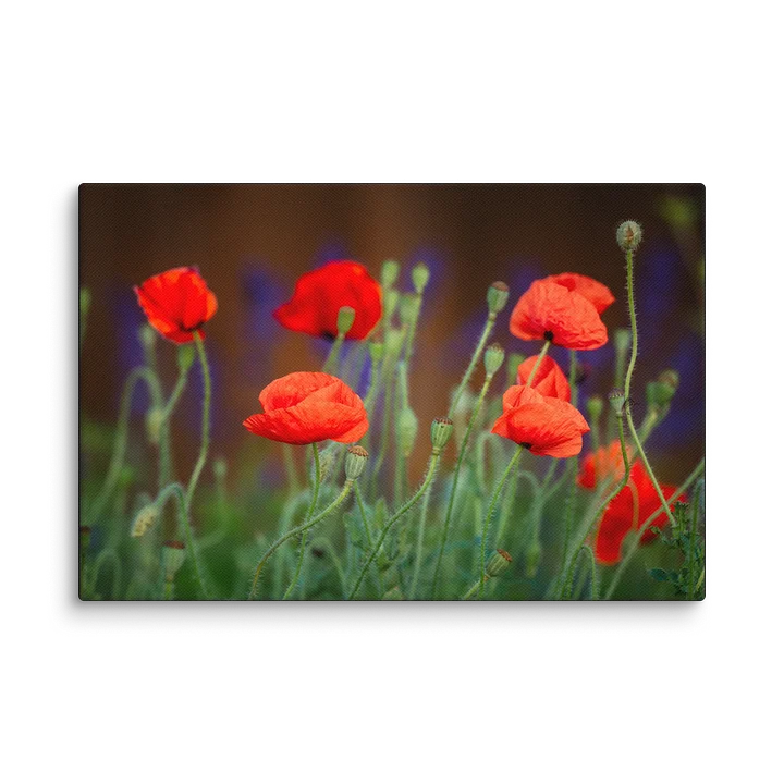 Vibrant Company Canvas Print product image (1)