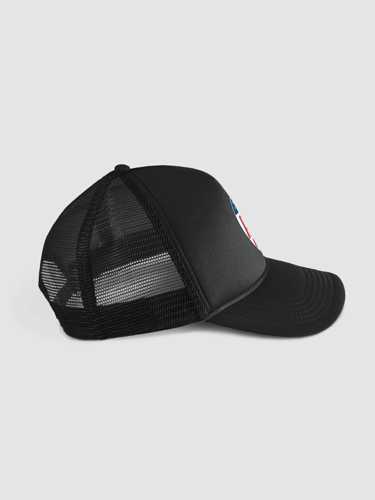 Circle Logo Snap Back Hat product image (4)