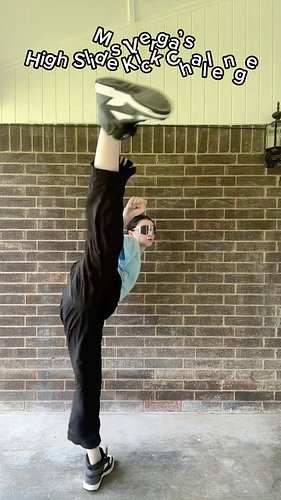 Think you can do it? 👀 
I want to see your version.
Tag me if you try it! 🥋

#msvergaskickchallenge #martialarts #kickchallen...