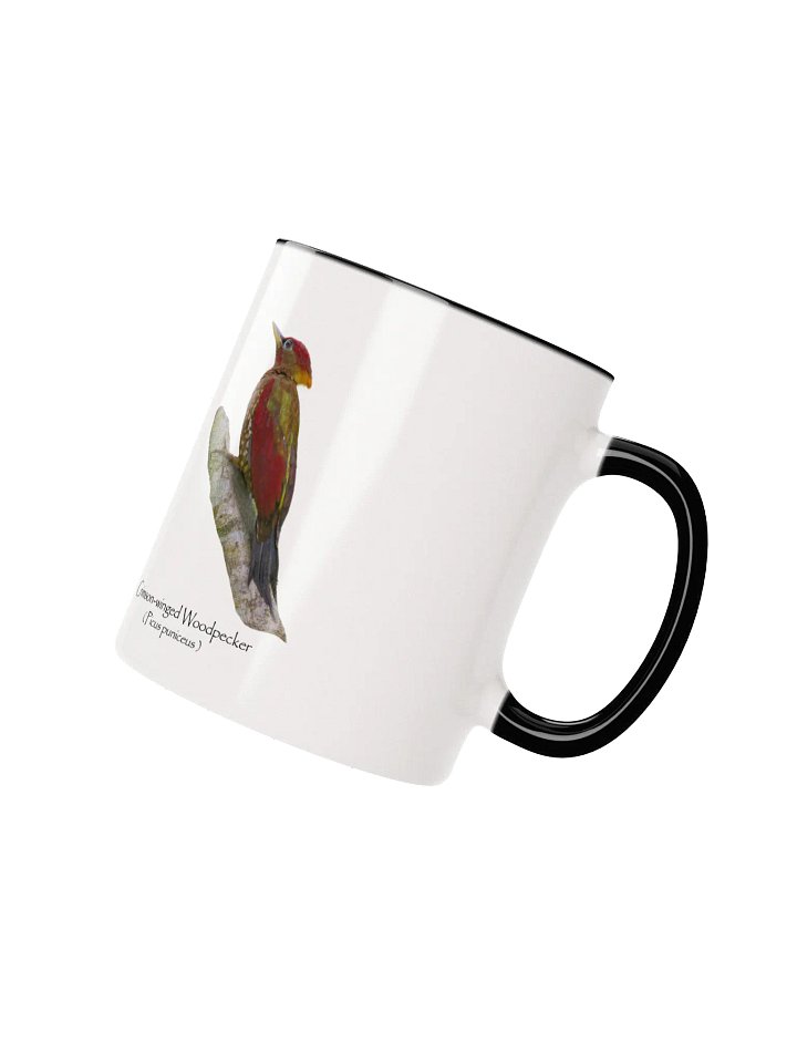 Crimson-winged Woodpecker mug product image (20)