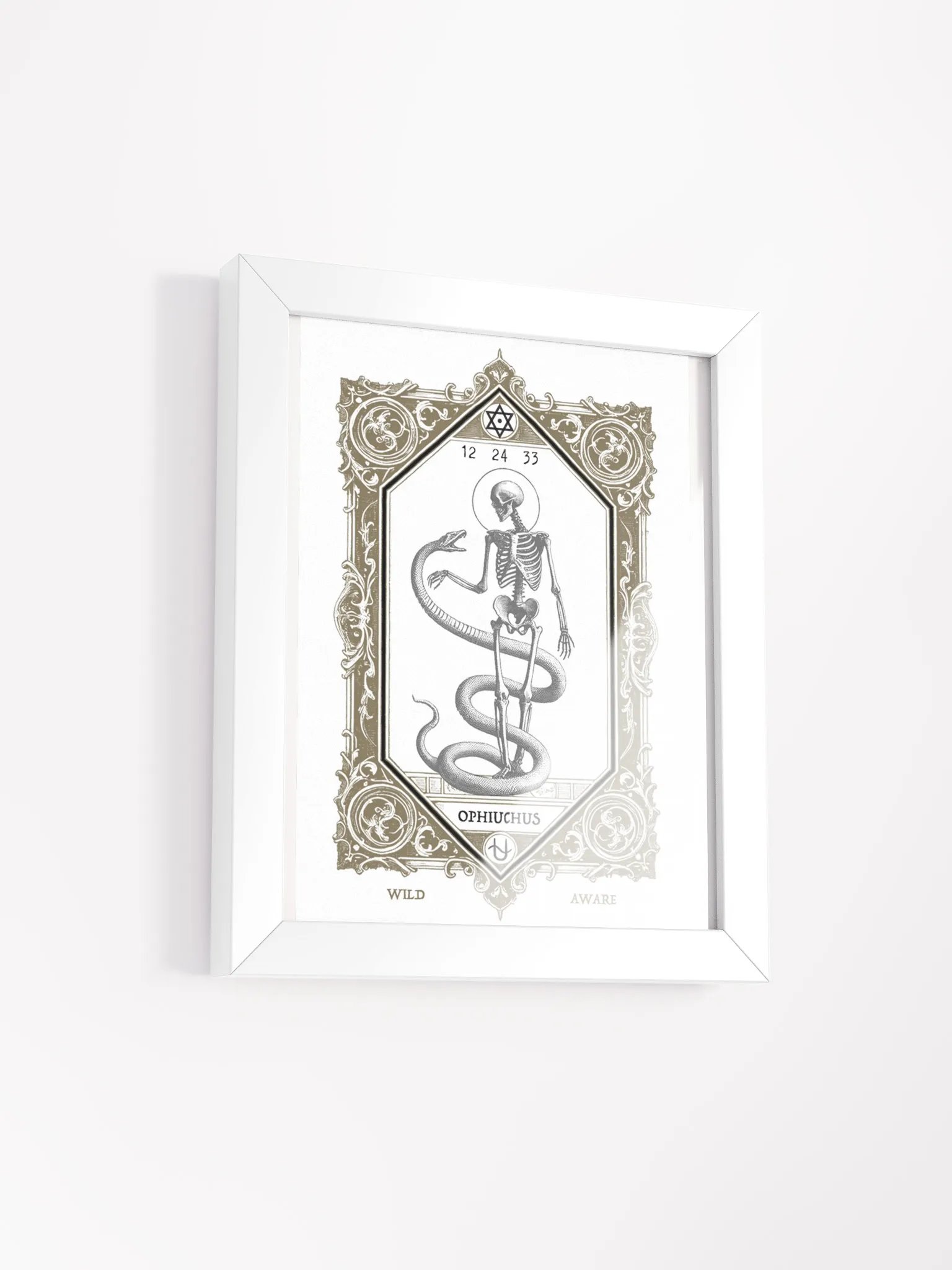 ZODIAQUE HERMÉTIQUE 8x10 – Ophiuchus product image (2)