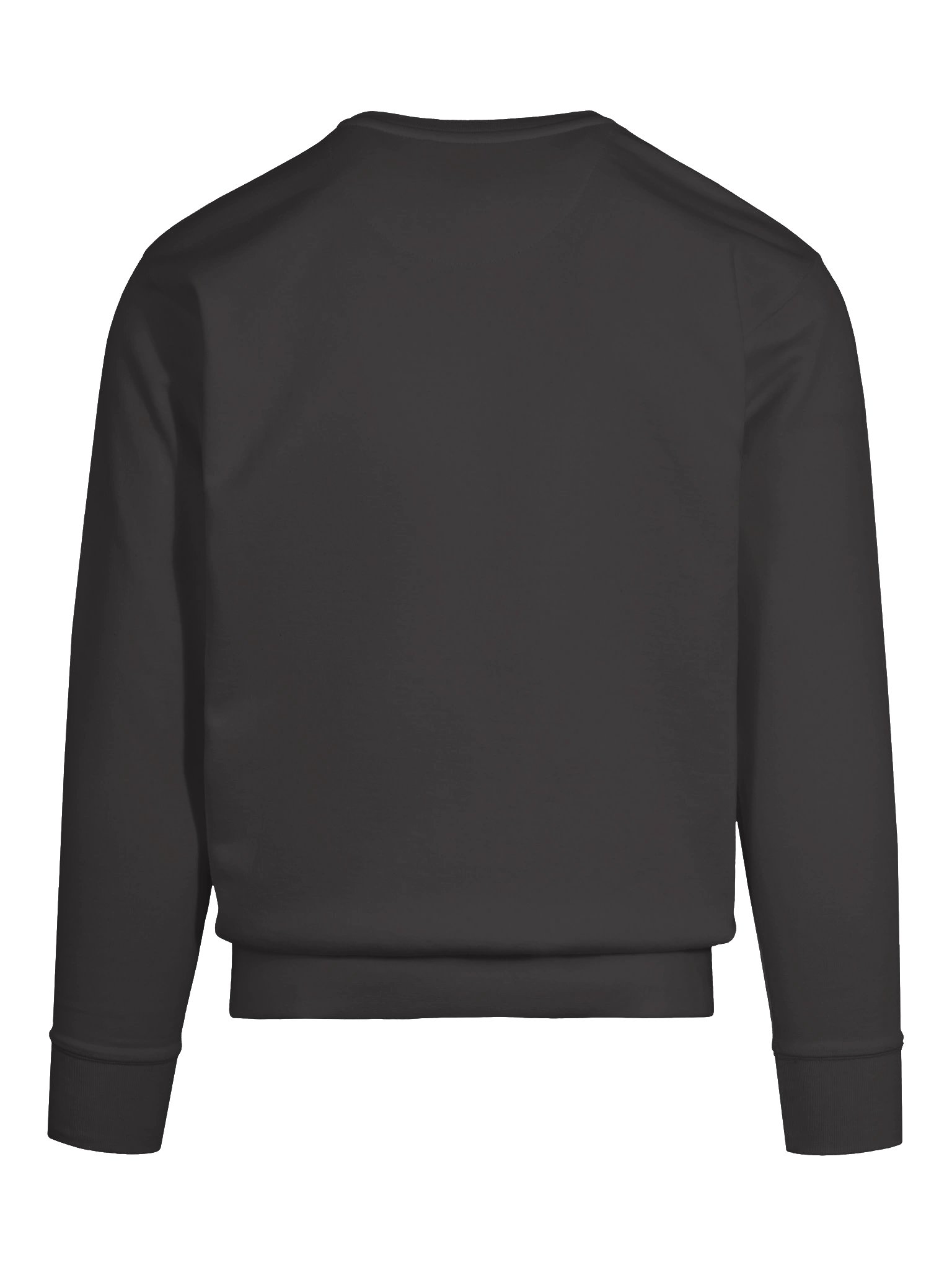 Full of Potential Premium Sweatshirt product image (6)
