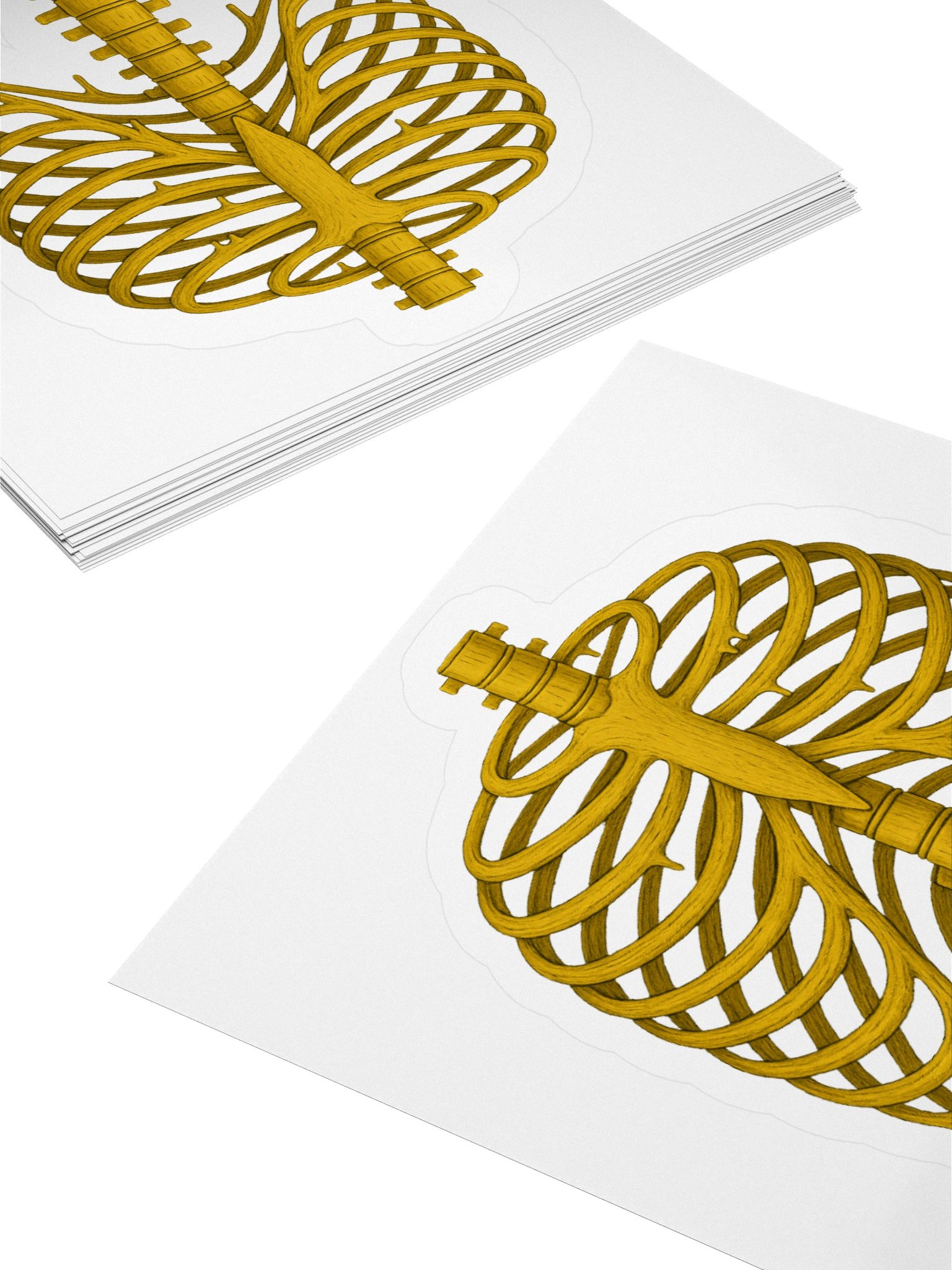 Butter Back Ribs product image (11)