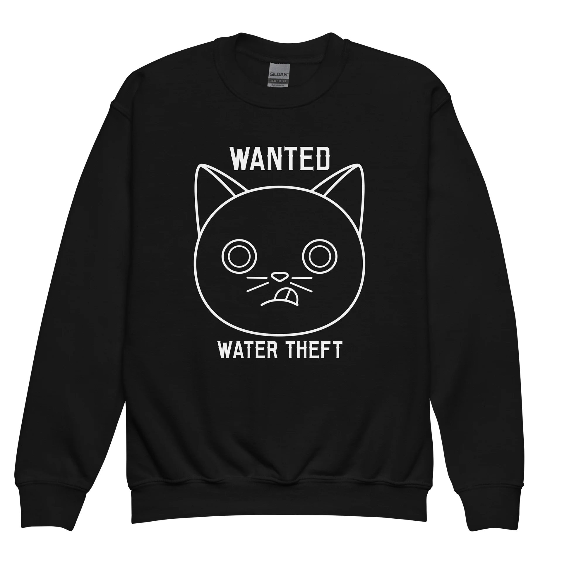 Wanted (Water Theft) - Unisex Youth Sweatshirt product image (1)