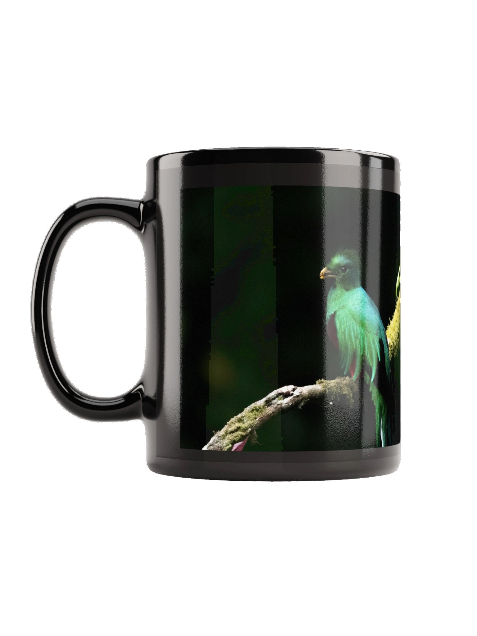 Resplendent Quetzal Mug product image (1)