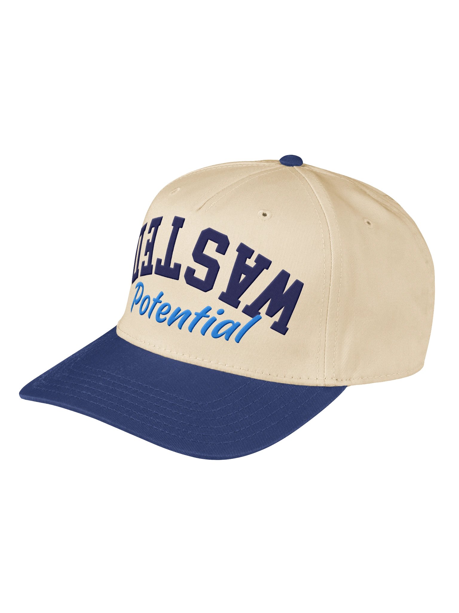 Upside Down Wasted Potential Hat product image (3)