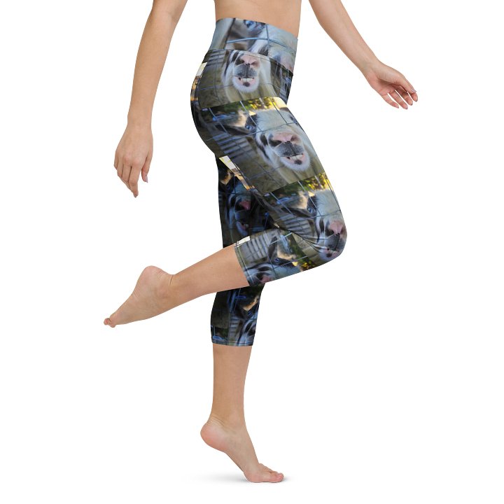 Nicholas the billy goat -Adult size- Capri leggings w/ inside pocket product image (1)
