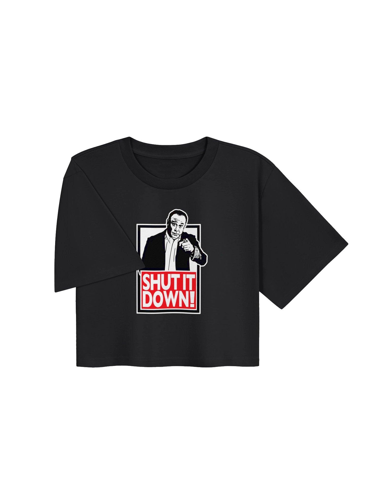 Shut It Down Crop Women's Tee product image (3)