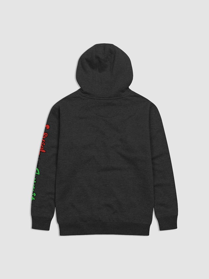 Are we appropriate? Hoodie product image (15)