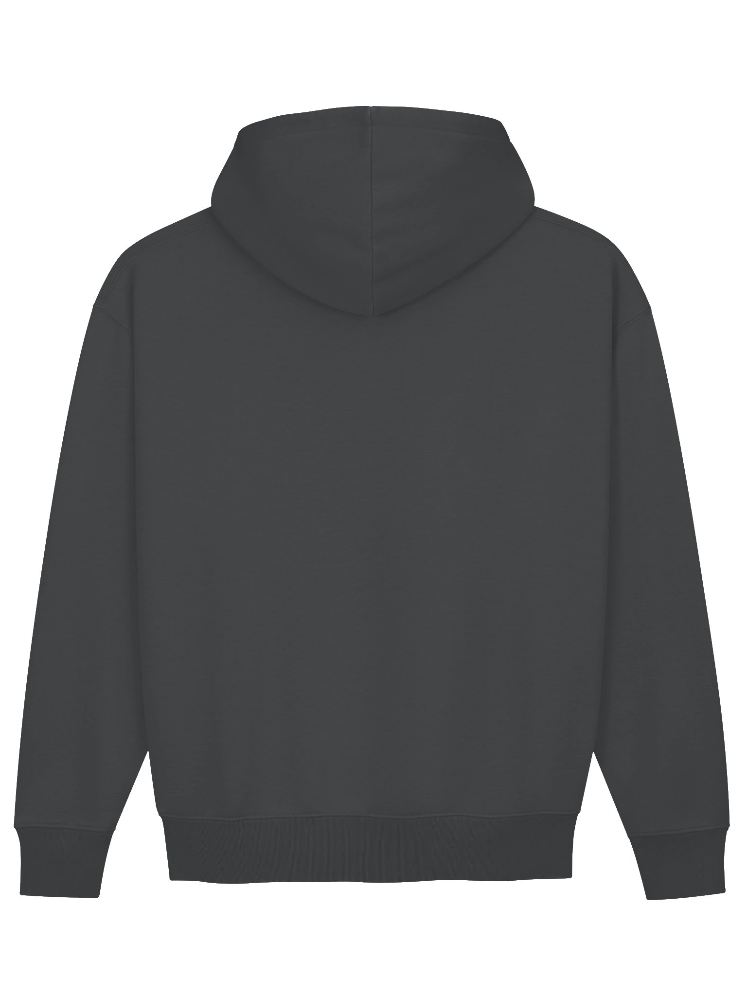 No Risk Hoodie premium product image (7)