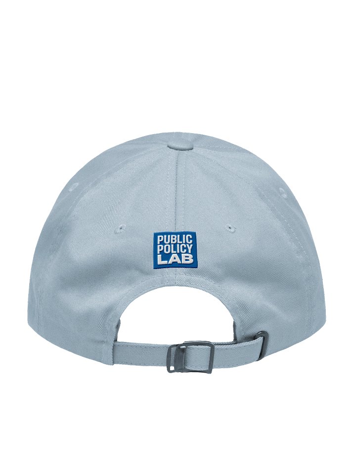 Better Services for the People Blue Hat product image (2)