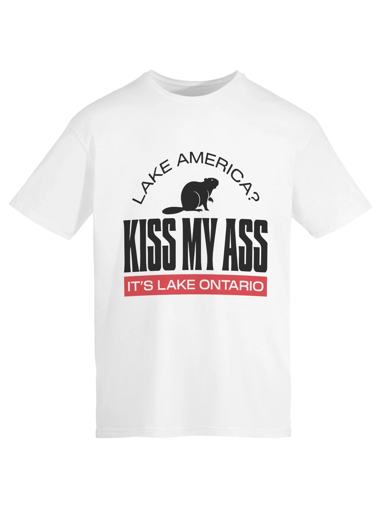 Kiss My Ass - It's Lake Ontario Tee product image (75)