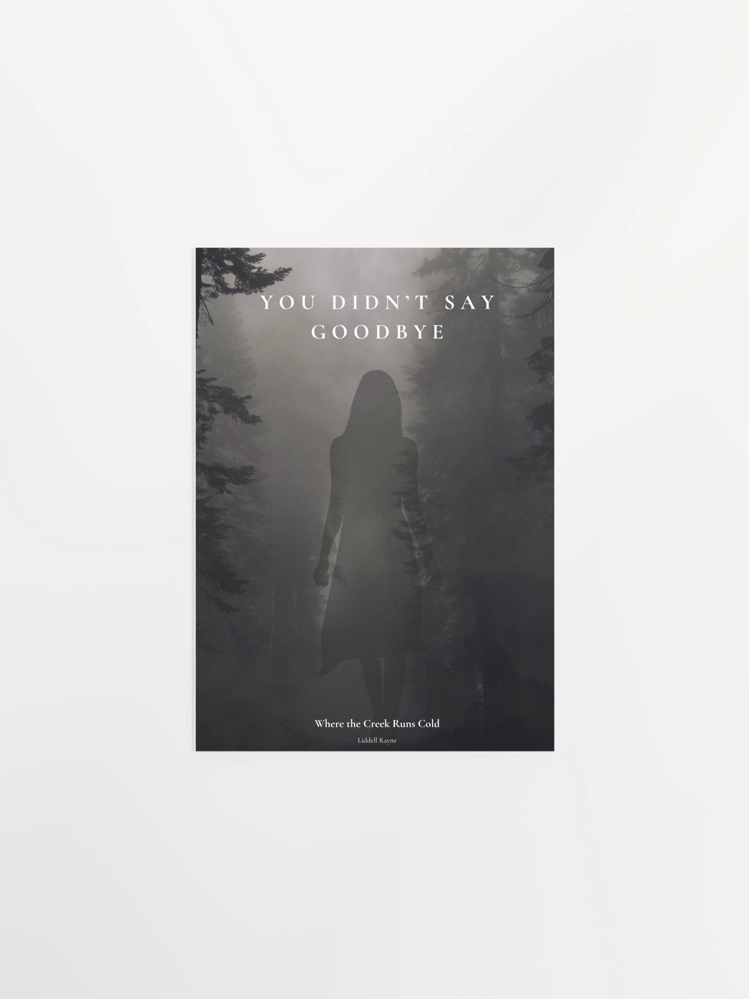 You Didn't Say Goodbye Picture w/ Ebook of Where the Creek Runs Cold product image (1)