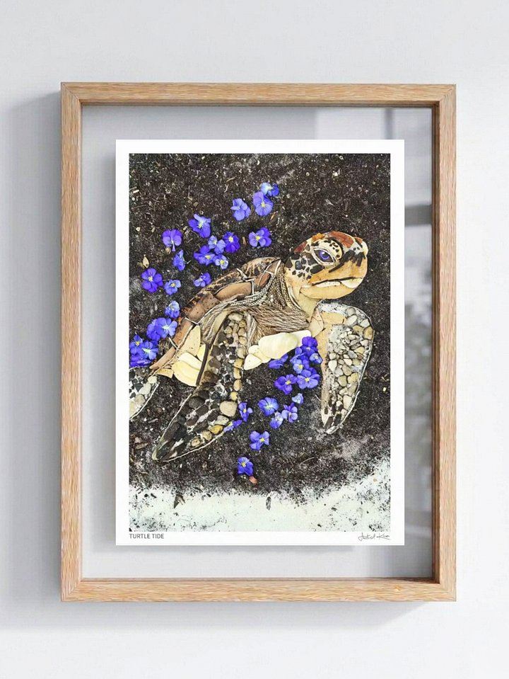 TURTLE TIDE | Fine Art Print product image (1)