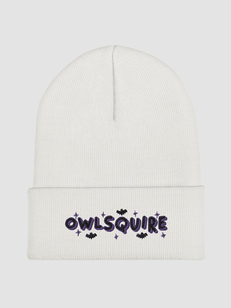 BATS Beanie (2022) product image (2)