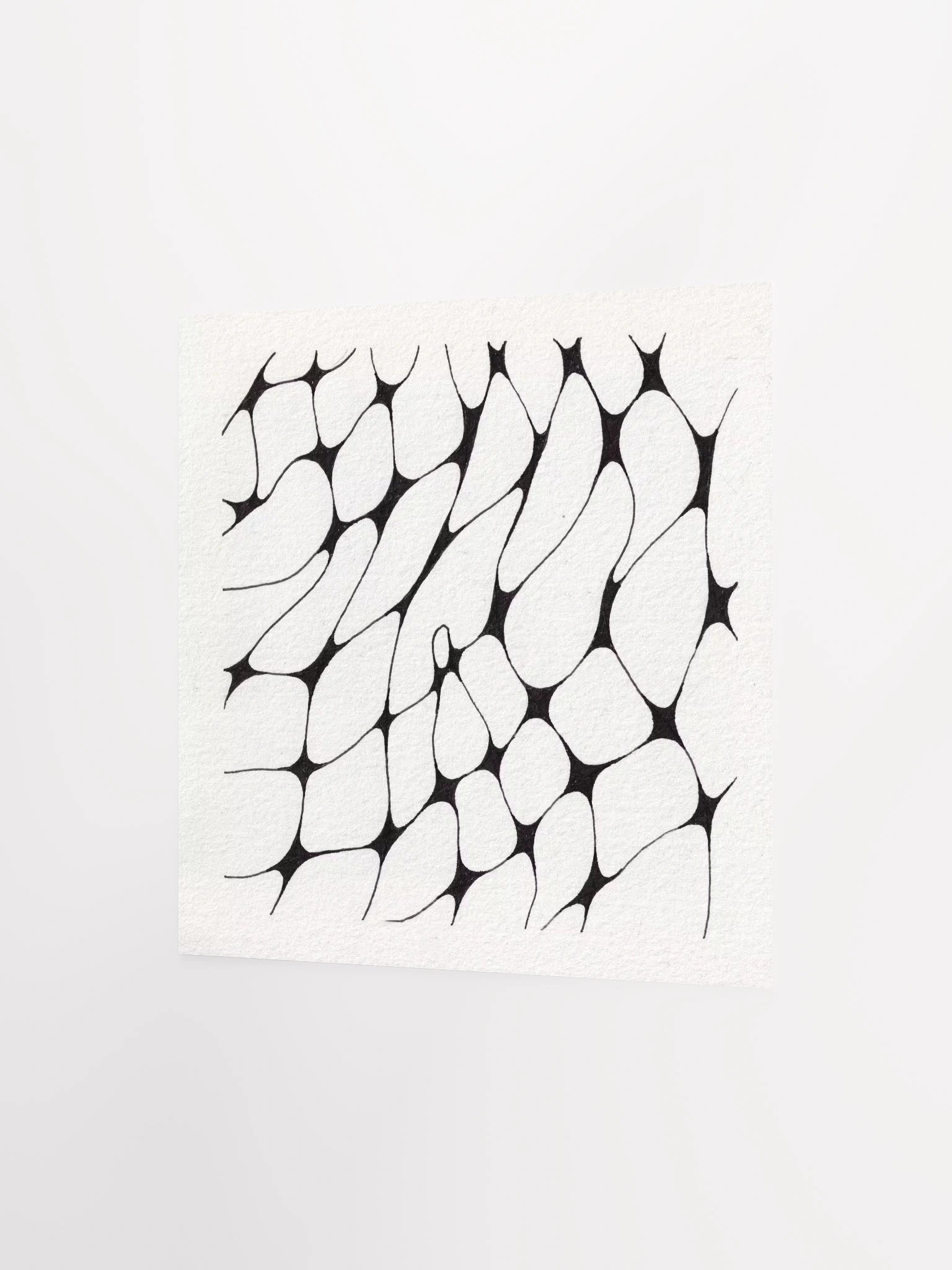 Warp Print product image (2)