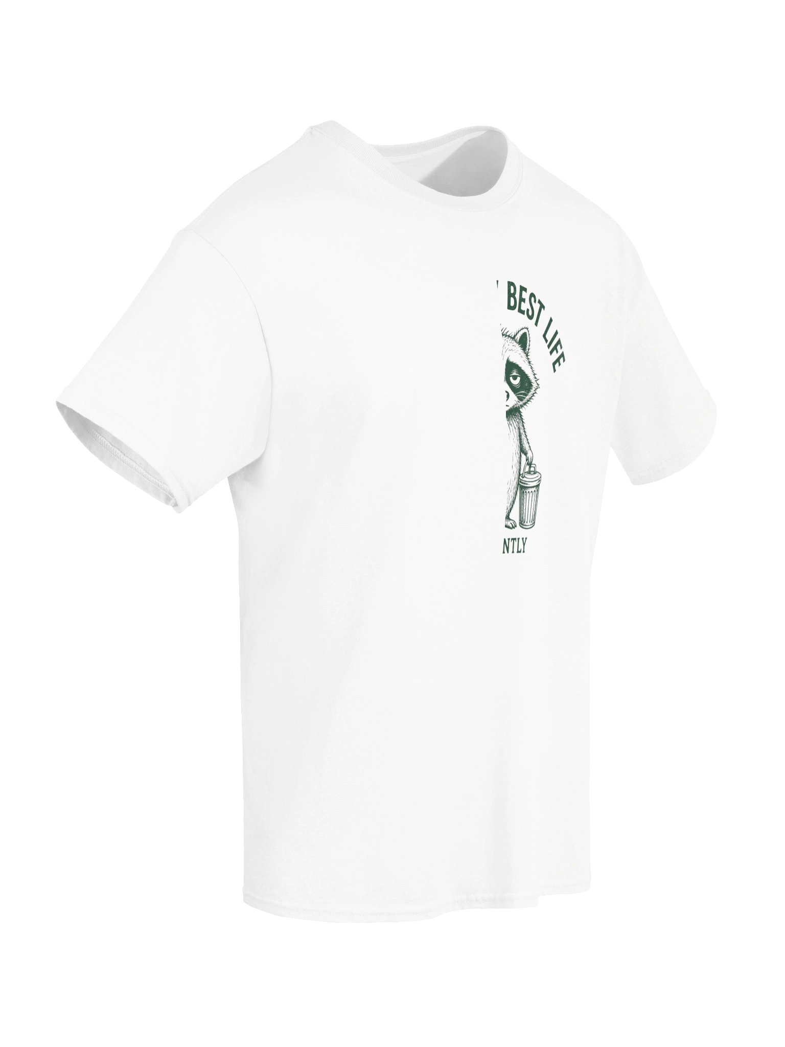 Living My Best Life Apparently Shirt, Funny Raccoon Tee, Sarcastic Animal Lover Gift, Vintage Humor T-Shirt product image (6)