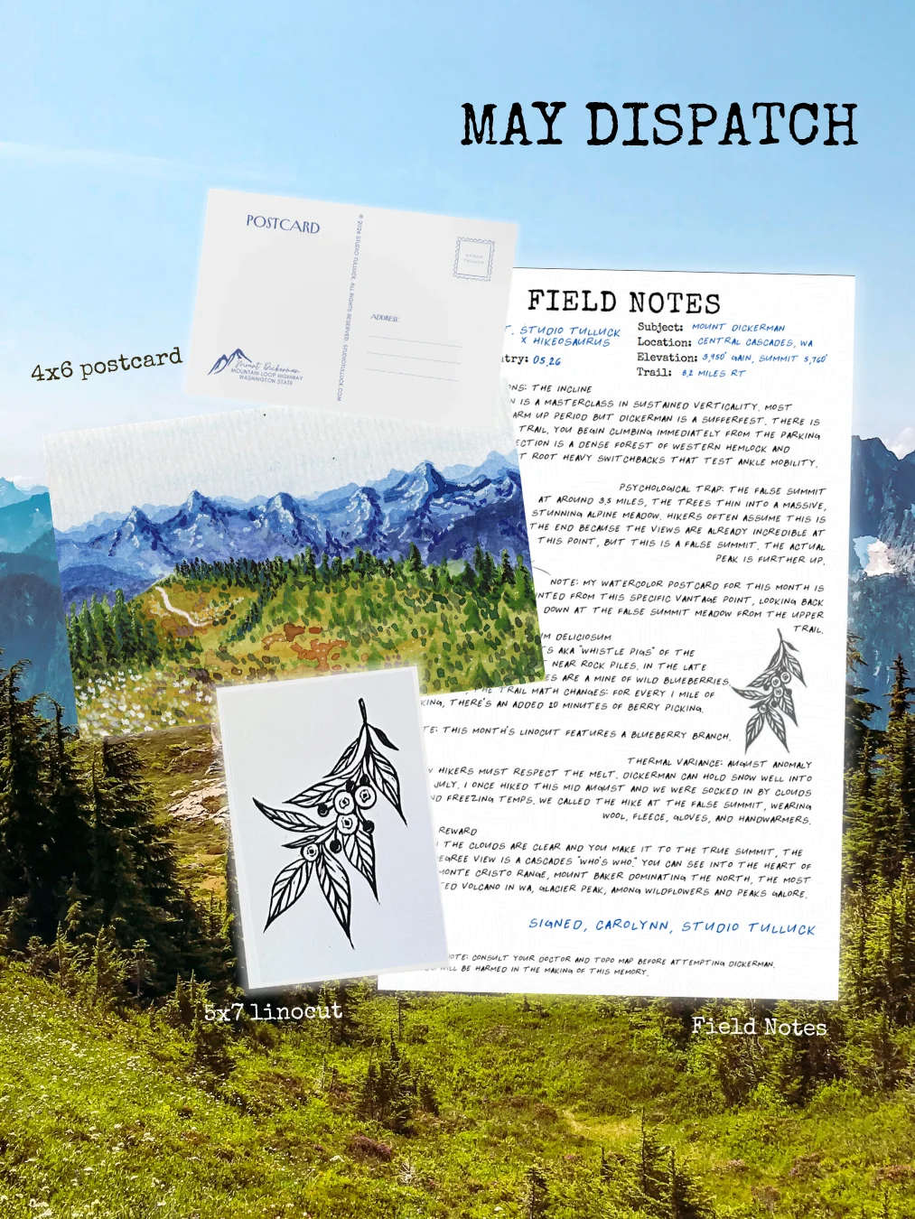 The Trail Dispatch: May 2026 | Mount Dickerman, WA product image (1)