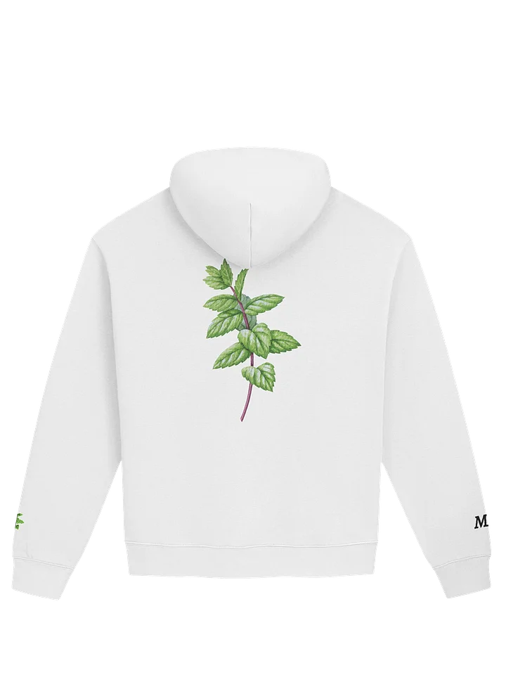 Mint Series Ultra-Soft Oversized Hoodie product image (2)