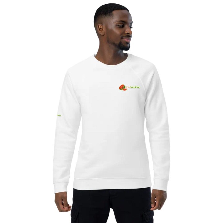 Raw Intuition Healing Raglan Sweatshirt product image (1)