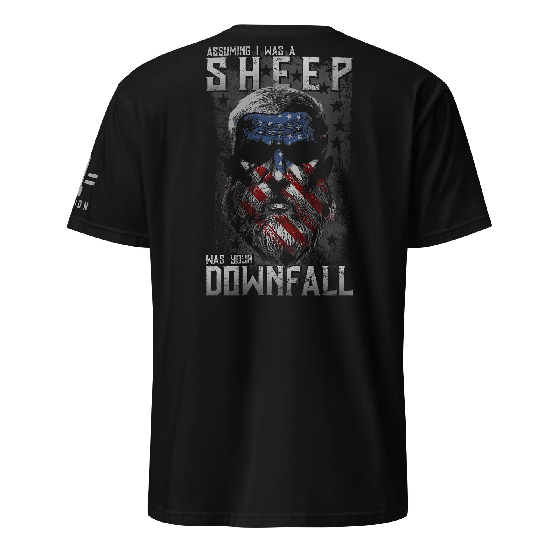 Old Man Patriot: DOWNFALL product image (1)
