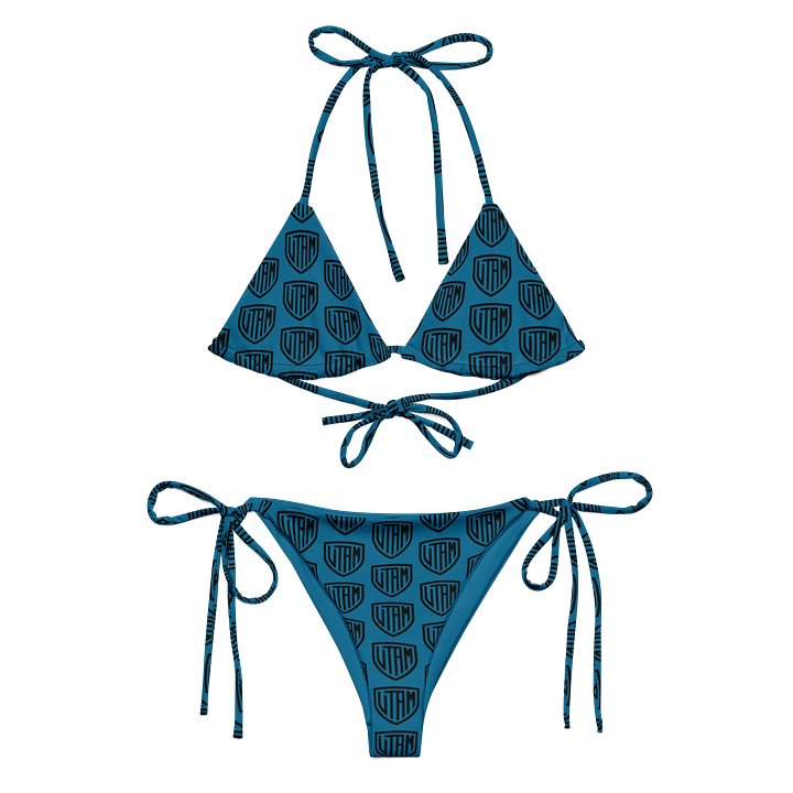 Bikini product image (2)
