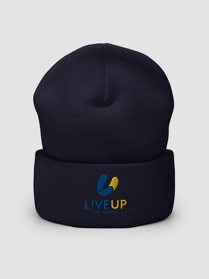 [LiveUp] Embroidered Cuffed Beanie Yupoong 1501KC product image (2)