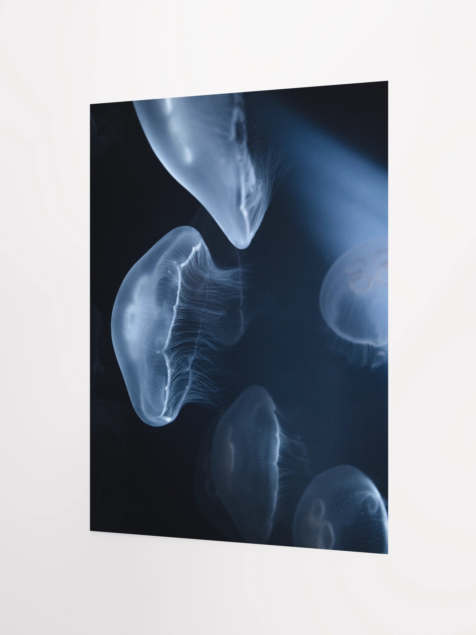 SILENT GLOW - Limited Edition Fine Art Print product image (2)