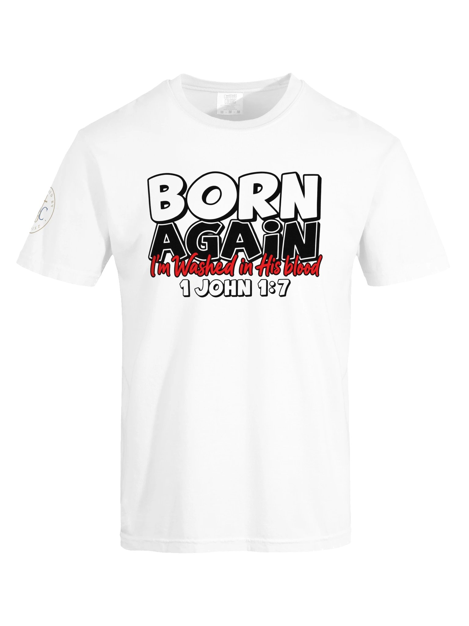 Biblical Truths: Born Again product image (1)