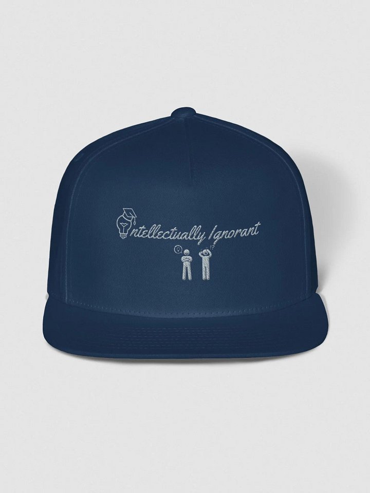 Intellectually Ignorant Grey logo Snap back product image (1)